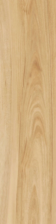 Италон Мезон Шампэйн Рет / Italon Maison Champagne Ret 30x120