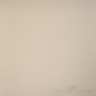 Керамогранит Грани Таганая Профи бежевый / beige (anti-slip) GT100A антискользящий 60x60
